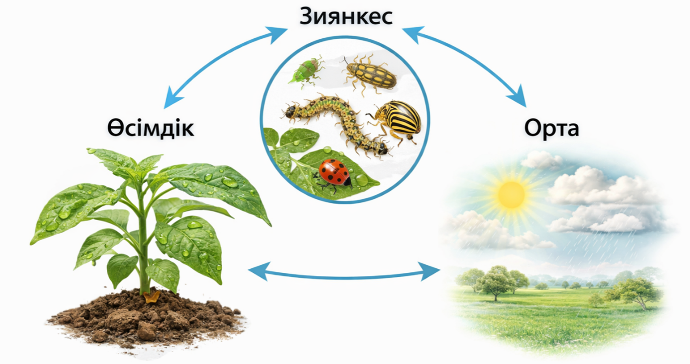 Экожүйелік модель