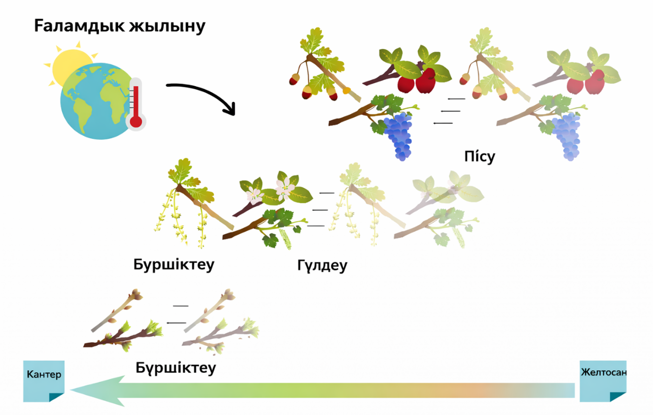 Жеміс-көкөніс дақылдарының фенологиялық дамуын болжау
